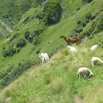 Διαμέρισμα Auenheim *